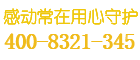 山特保险柜